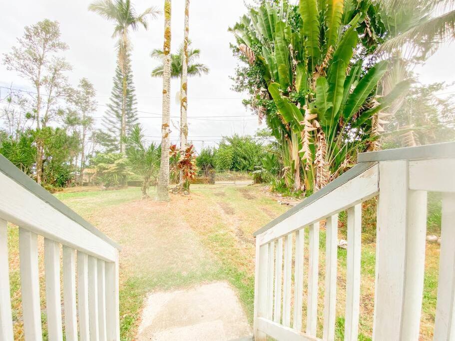 Monstera Bungalow, Spacious, King Bed, Big Kitchen Keaau Exterior foto